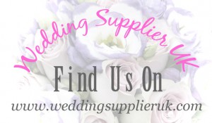 wedding supplier uk- swansea wedding dj