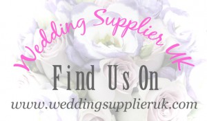 wedding supplier uk- swansea wedding dj